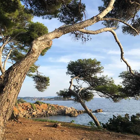 Bulle Marine Apartamento *